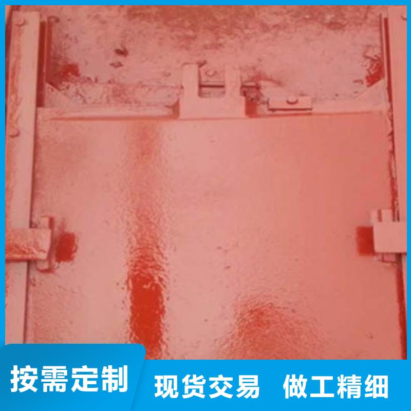 铸铁闸门可定制当地供应商
