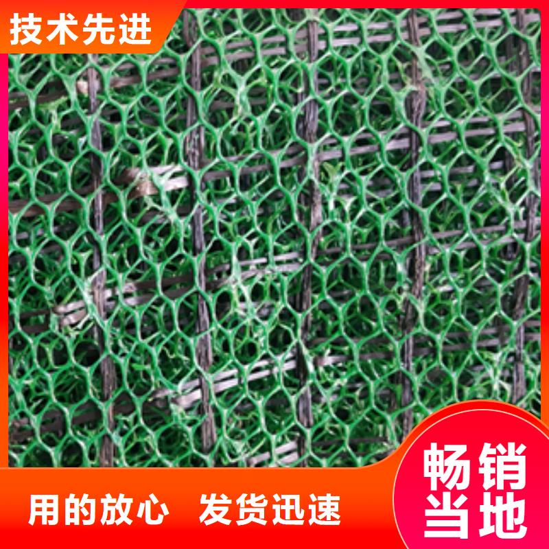 多规格三维植被网多少钱一平方？信誉有保证