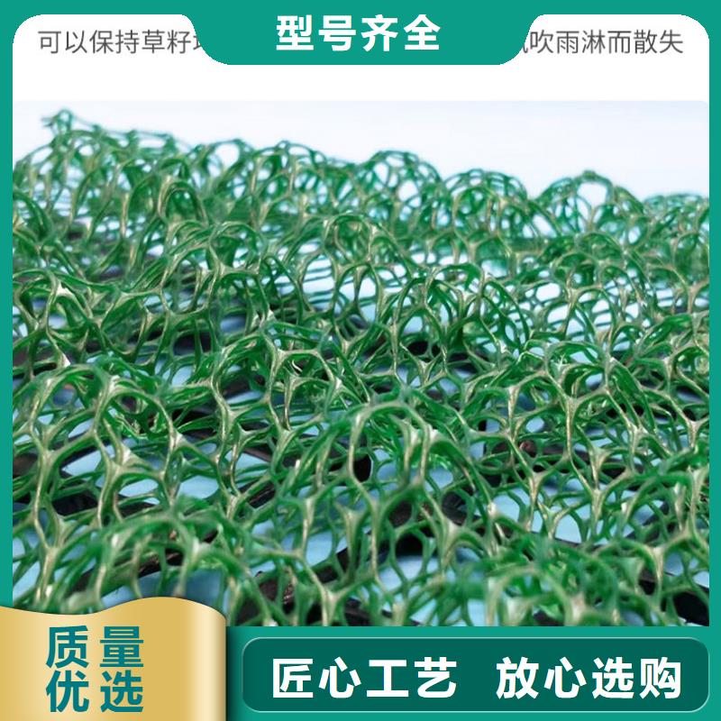 EM4三维植被网护坡植被网生产厂家-质优价廉品质商家