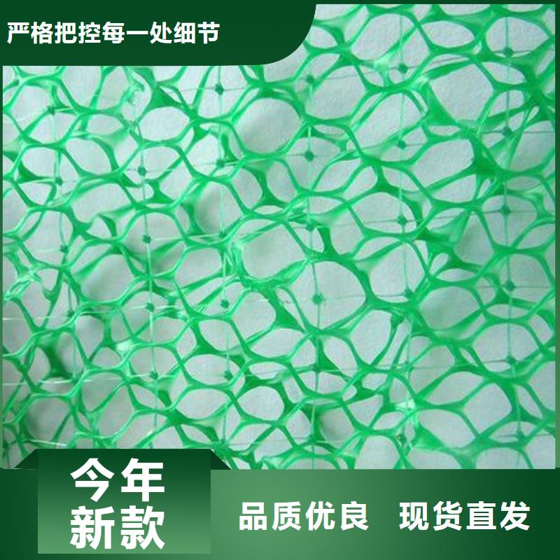 三维土工排水网厂家三维排水网垫价格复合排水网多少钱附近厂家