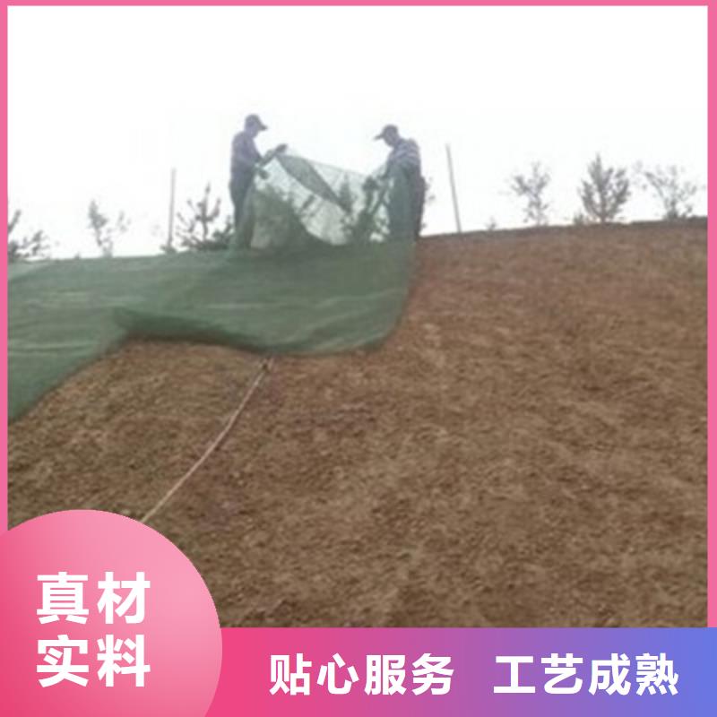 三维土工网垫厂家绿化植草网价格生产基地正品保障