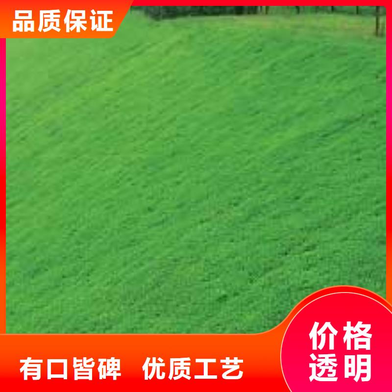 植草网价格,护坡土工网,真材实料