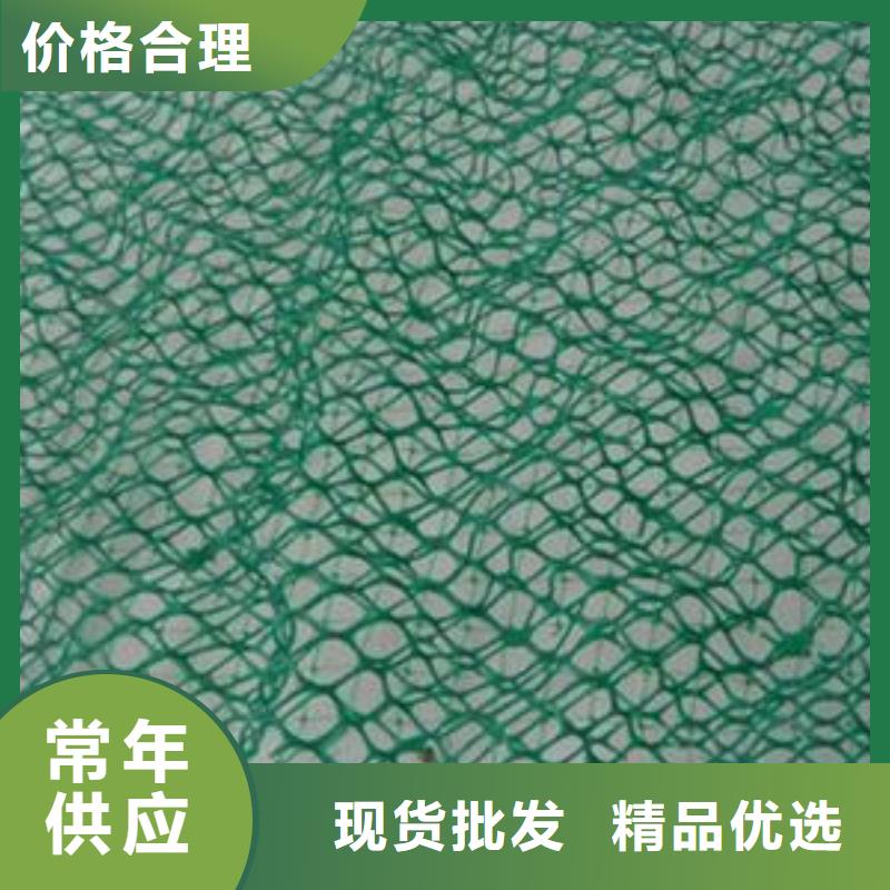 三维复合排水网厂家三维土工排水网价格土工排水网多少钱支持非标定制