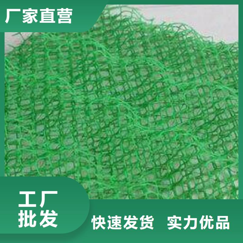 三维植被网【集团】-EM4三维植被网价格三维植被网【集团】超产品在细节