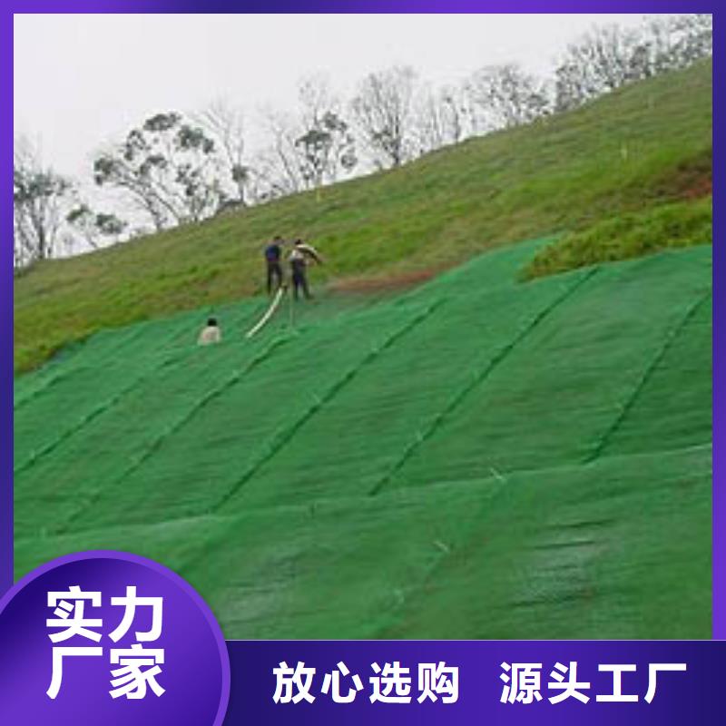 三维植被网-植被网-护坡绿化-价格当地经销商