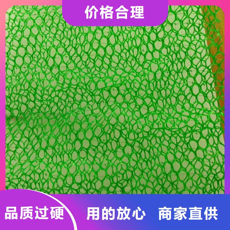 三维植被网-绿化网-价格低-发货快用心制作