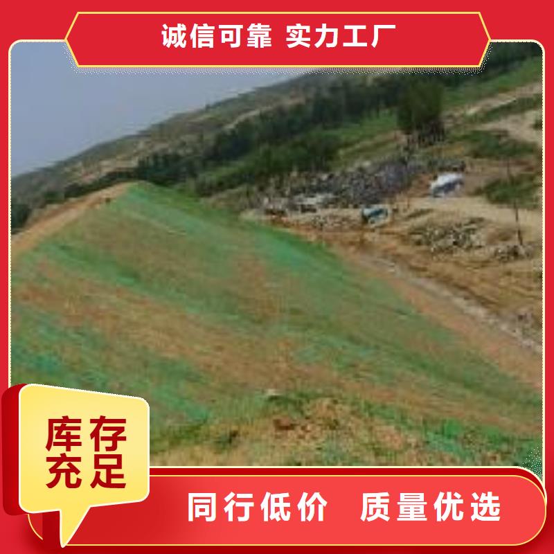 三维植被网,公路边坡植草绿化,三维土工网垫当地货源