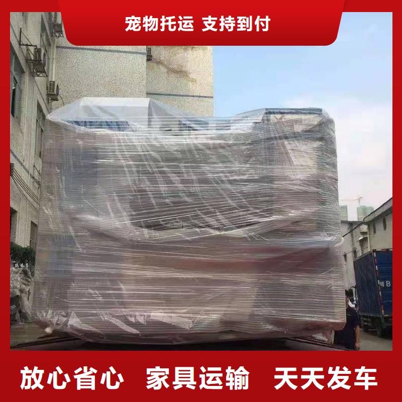 广州到金浦街道物流直达货运专线