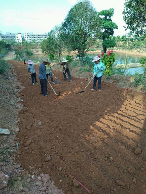 土壤固化剂土壤固化淤泥软基固化土商情