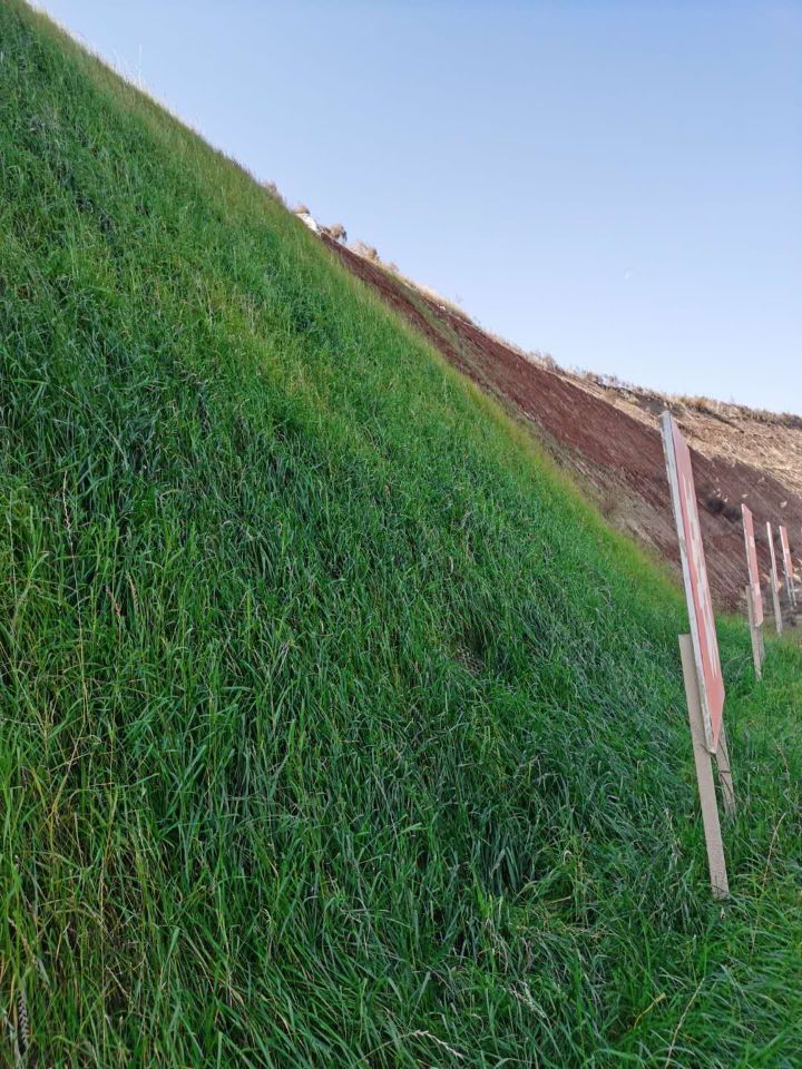 成都生态沙土抑尘剂农业园区固化土路价格