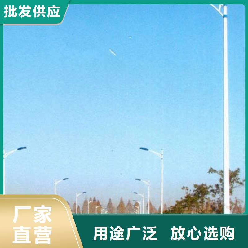 球场灯路灯厂家批发星河路灯颜色尺寸款式定制