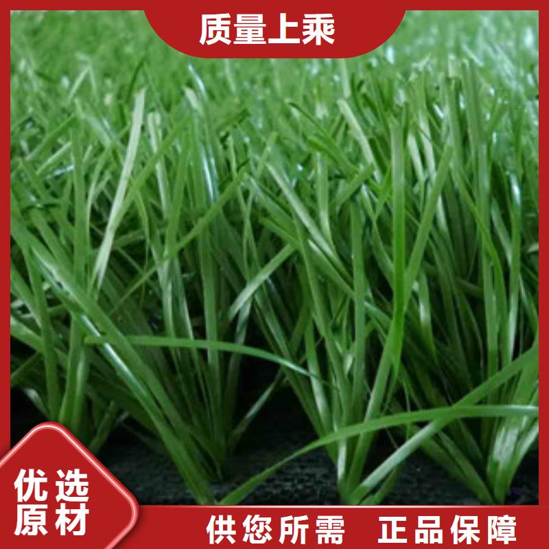 南京门球场人造草坪24小时为您服务