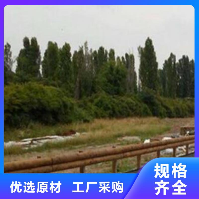 黔西南钢背木栏杆厂家铝合金护栏量大从优